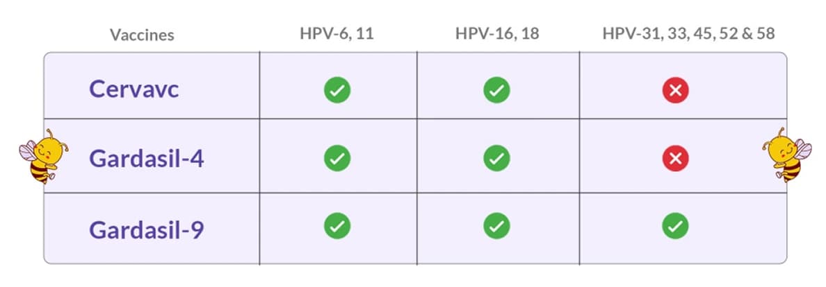 HPV vaccine protection table